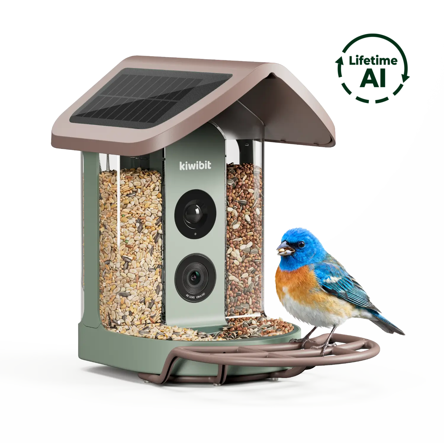 Kiwibit Bird Feeder 2 4K AI Camera with Solar Panel - Lifetime AI Included